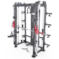 Мультистанция, машина Смита DFC Gorilla Sport 822